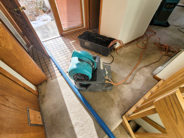 Best Commercial water damage restoration  in Gloversville, NY
