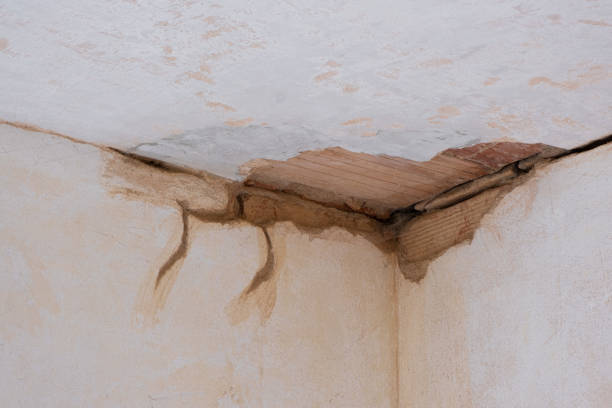 Best 24/7 water damage repair  in Gloversville, NY