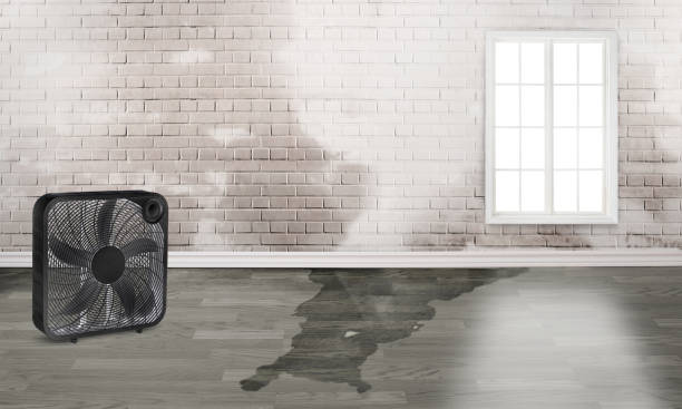 Best Water damage cleanup near me  in Gloversville, NY