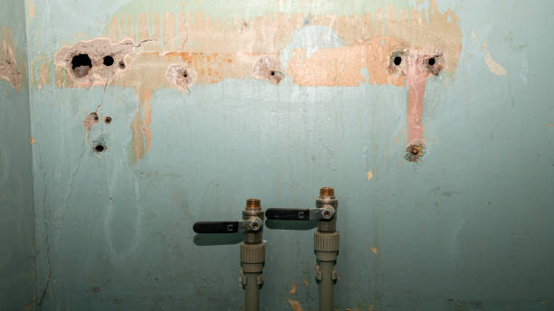 Best Water damage cleanup near me  in Gloversville, NY