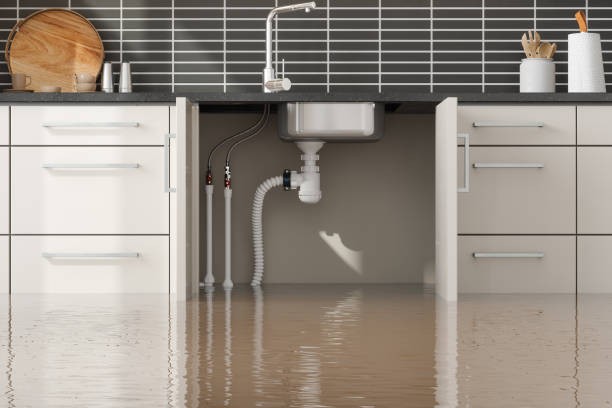 Best Basement water damage restoration  in Gloversville, NY