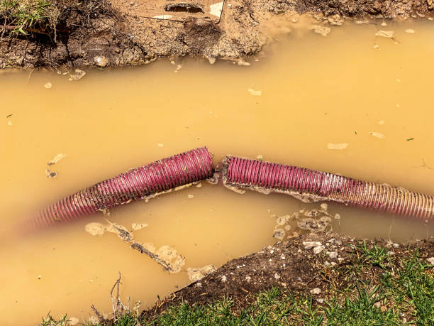 Best Flood damage cleanup  in Gloversville, NY
