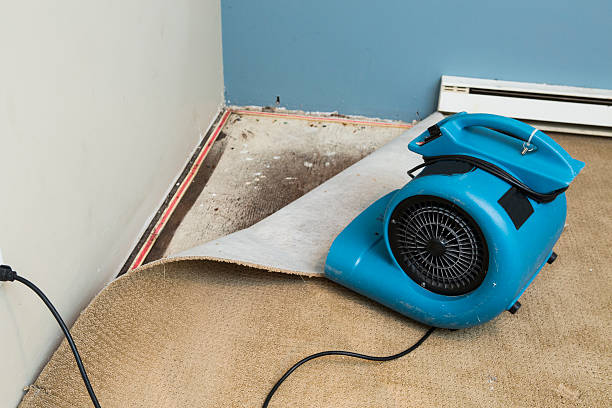 Best Water damage mitigation services  in Gloversville, NY